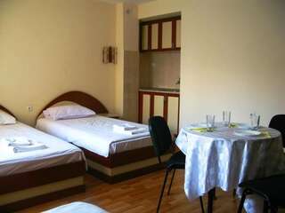 Отель Hotel Nakra Radnevo Двухместный номер с 2 отдельными кроватями-6