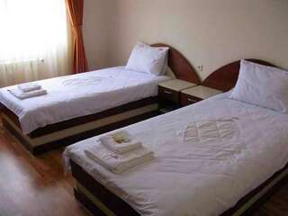 Отель Hotel Nakra Radnevo Двухместный номер с 2 отдельными кроватями-7