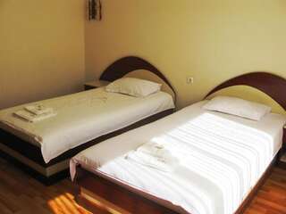 Отель Hotel Nakra Radnevo Двухместный номер с 2 отдельными кроватями-13